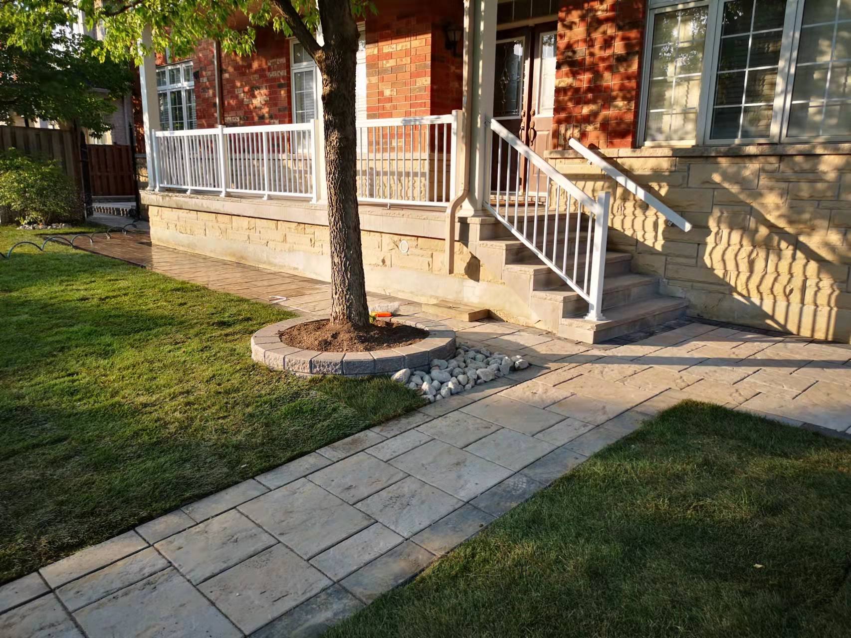 Golden hour front yard