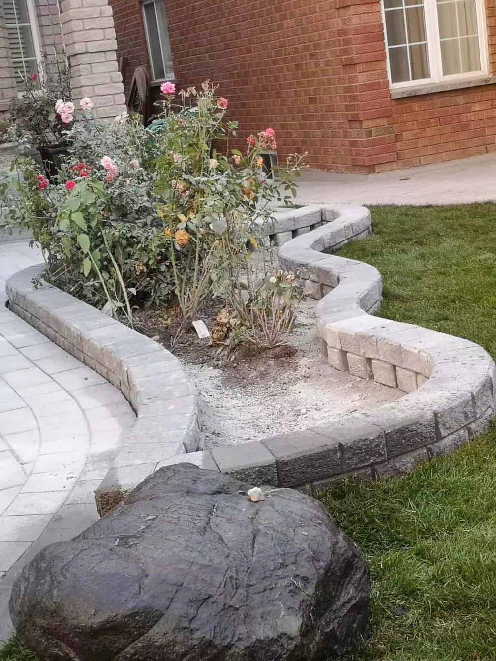 Rose garden planter